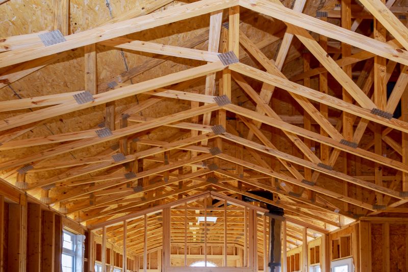Shop Framing in Conroe, TX